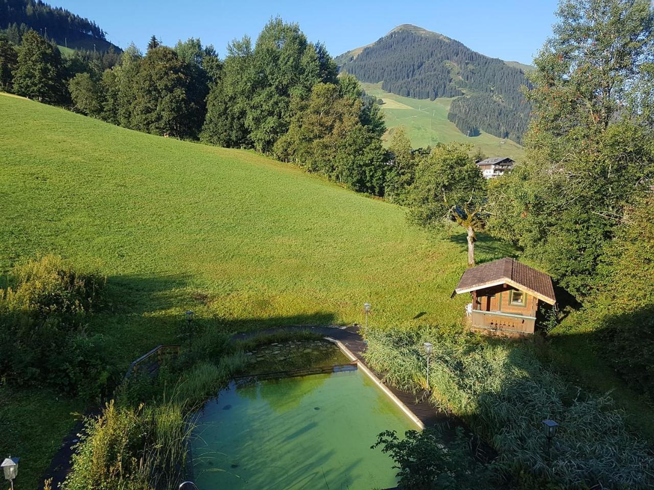 Ski In Ski Out Hotel Unterellmau Saalbach-Hinterglemm Eksteriør billede